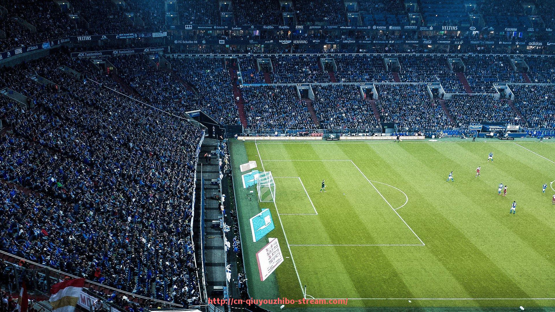 球友体育直播-蒙古族CBA球员数量与文化融合现象探讨